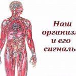 Вот такую ПАМЯТКУ надо иметь у себя под рукой всегда, ДеЛюСь ею с вами, уносите себе на странички