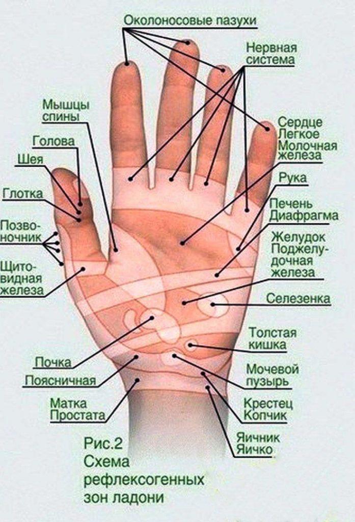 Иглоукалывание точки на руках схема. Су Джок точки на руке. Схема акупунктурных точек кисти руки. Точечный массаж рук. Точки на руках для массажа