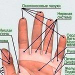 ВОЛШЕБНЫЙ МАССАЖ ПАЛЬЦЕВ РУКИ