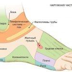 7 АКТИВНЫХ ТОЧЕК НА СТОПЕ ВЕРНУТ ВАС К ЖИЗНИ ЗА ПАРУ МИНУТ!