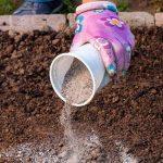 Удобряла золой и осталась без урожая. Каким растениям противопоказано это удобрение