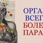 ОПЫТНЫЙ КИТАЙСКИЙ ВРАЧ: «НЕПРАВИЛЬНО ЛЕЧИТЕСЬ, ТОВАРИЩИ! ОРГАНЫ ВСЕГДА БОЛЕЮТ ПАРАМИ…»
