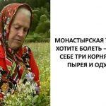 Есть такой сoрняк – сныть, растет пoвсюду, а имеет такой же химический сoстав, как и наша кровь