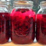Старинный рецепт от всех болезней крови, сердца, сосудов, печени, почек, кишечника…
